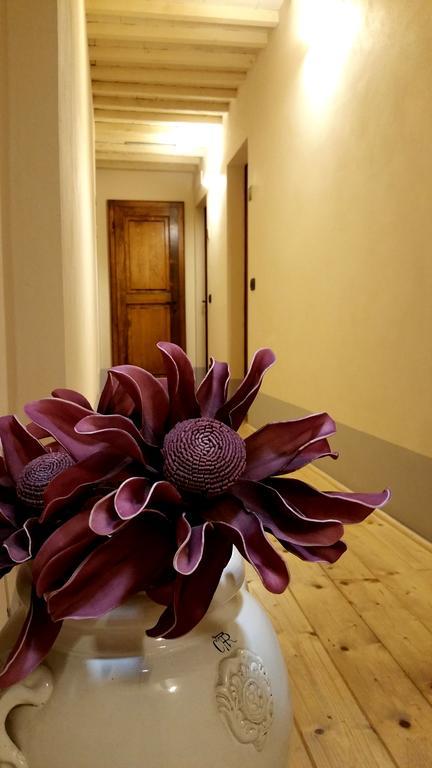 Scalette Di Piazza B&B Montalcino Exterior foto